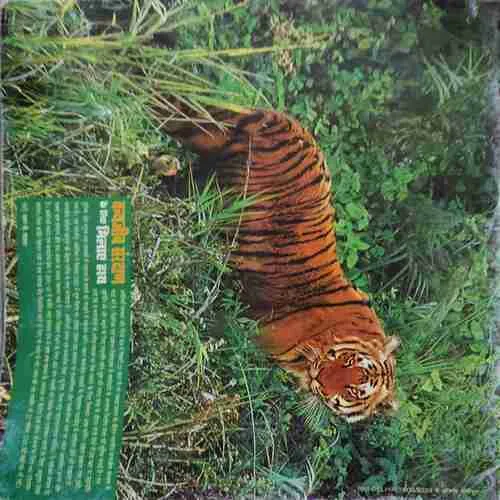 Spain ( March - April 2006 )