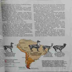 National geographic ( July 1981 ) ( cut on second page )