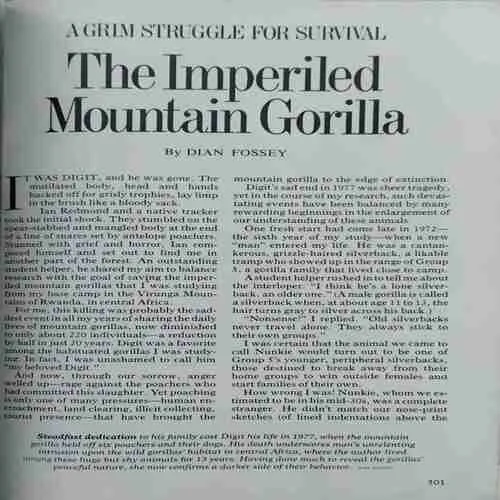 National geographic ( April 1981 ) ( half pages are missing )