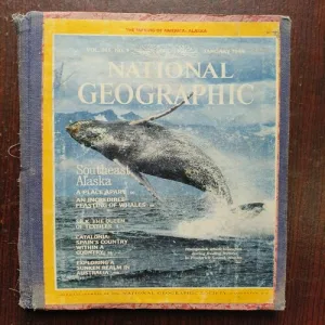 National Geographic ( January 1984 )