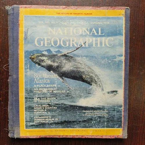 National Geographic ( January 1984 )