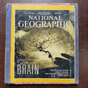 National Geographic ( June 1995 )