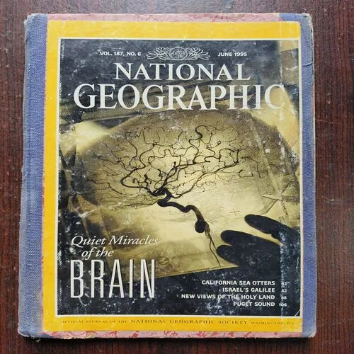 National Geographic ( June 1995 )