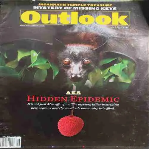 Outlook ( 8th July 2019 )