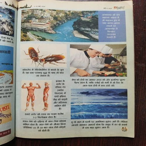 Balhans ( May 2019 )