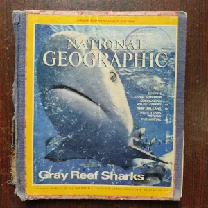 National Geographic ( January 1995 )