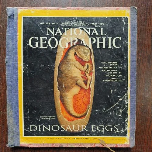 National Geographic ( May 1996 )