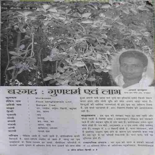 Yog Sandesh ( August 2006 )