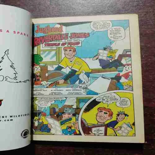 JUGHEAD AND FRIENDS DIGEST