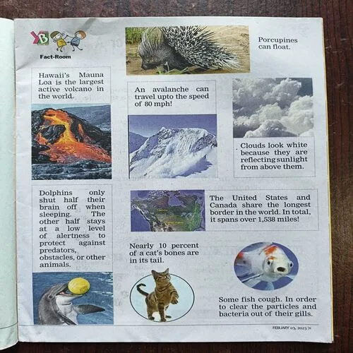 Young Bhaskar ( February 2023 )