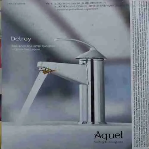 Vanita ( January 2009 )