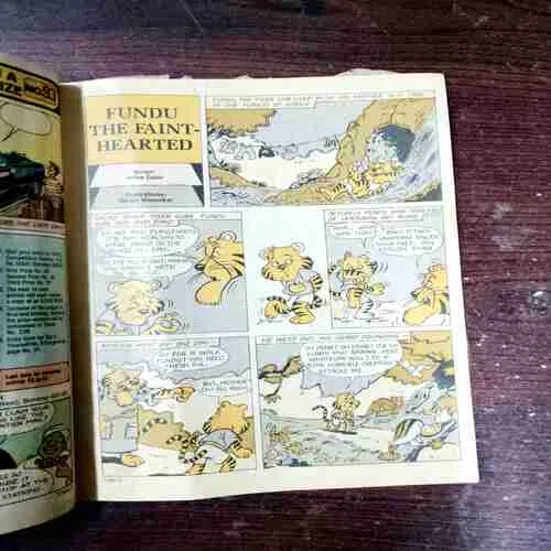 The Gunning Fakir ( Front Cover Is Missing )