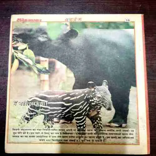 Document 9_82 Balrang ( 21 January 2000 )