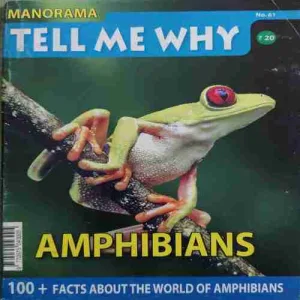 Tell me why ( October 2011 )