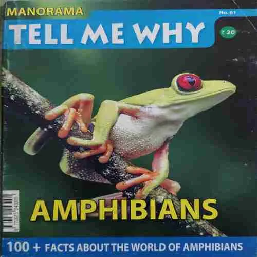 Tell me why ( October 2011 )