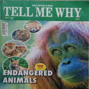 Tell me why ( April 2017 )