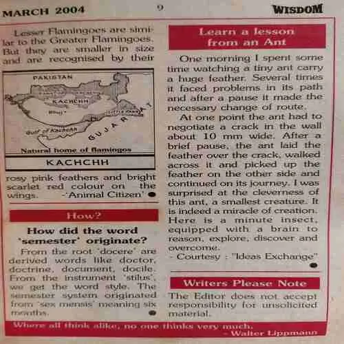 Wisdom ( March 2004 )