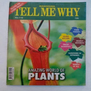 Tell Me Why - November 2015