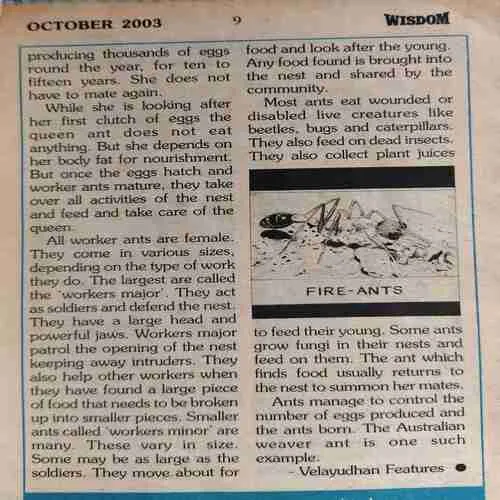 Wisdom ( October 2003 )