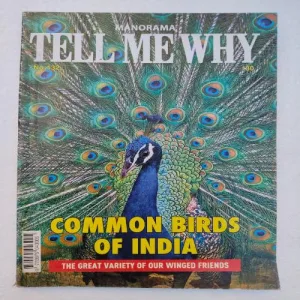 Tell Me Why (September 2017)