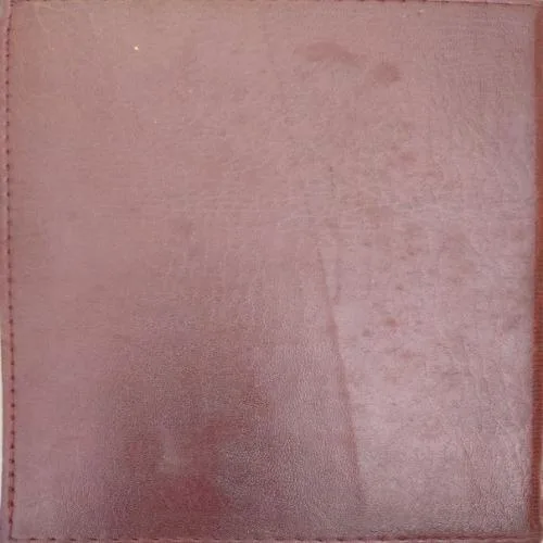 Gita Dayanandini - Diary 2018 (one page is used)