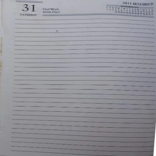 Diary 2011