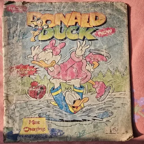 Donald Duch hat chasing Donald Duck hat chasing