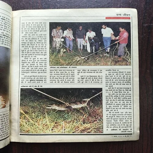 sunday Mail ( august 1990 ) Cover Less