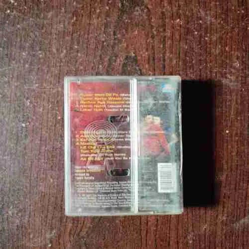 Document 12_188 9 SINFULLY DANGEROUS DANCE TRACKS