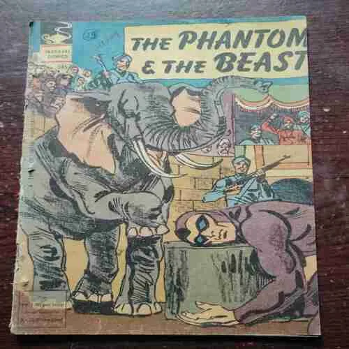 THE PHANTOM AND THE BEAST