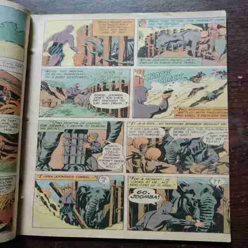 Document 18_23 THE PHANTOM AND THE BEAST