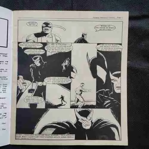 PARK ASSASSIN AND CHANCE