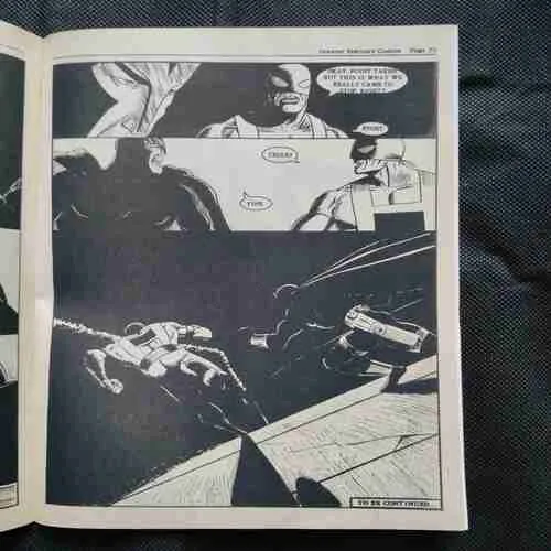 PARK ASSASSIN AND CHANCE