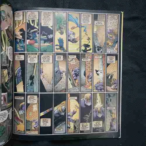 Document 20_7 THE MAXX