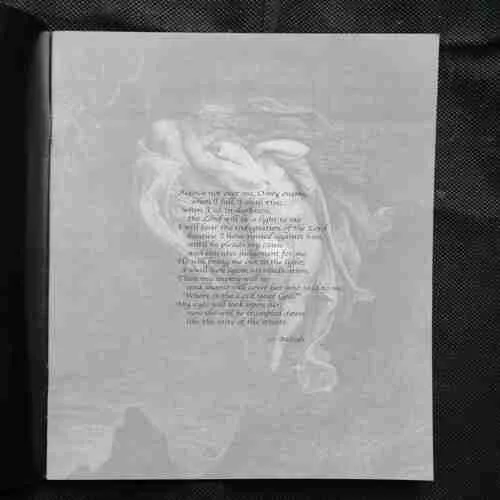 STRANGERS IN PARADISE