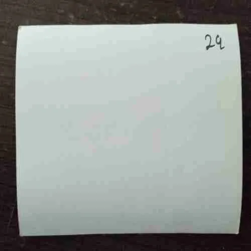 Document 21_58 OLD PHOTOGRAPHS (NO.29)