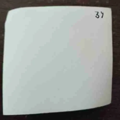 OLD PHOTOGRAPHS (NO.37)