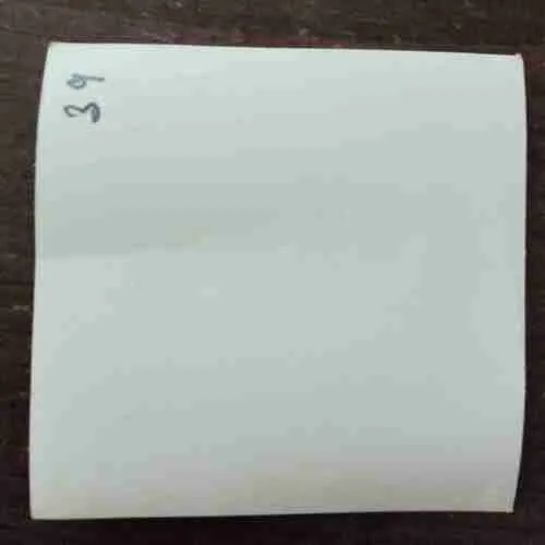 OLD PHOTOGRAPHS (NO.39)