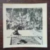 OLD PHOTOGRAPHS (NO.48)