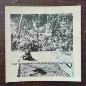 OLD PHOTOGRAPHS (NO.48)