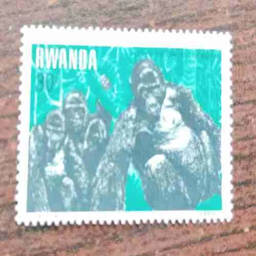 Rwanda ,Mountain gorillas (gorilles de montagne) ,QUESTA , 1983 , 30C