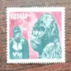 Document 23_27 Rwanda ,Mountain gorillas (gorilles de montagne) ,QUESTA , 1983 , 20F