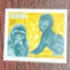 Document 23_31 Rwanda ,Mountain gorillas (gorilles de montagne) ,QUESTA , 1983 ,20C