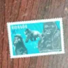 Rwanda ,Mountain gorillas (gorilles de montagne) , QUESTA , 1983 , 10F