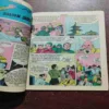 NAGRAJ : FIRST COMICS OF THIS SERIES (Rs,8)