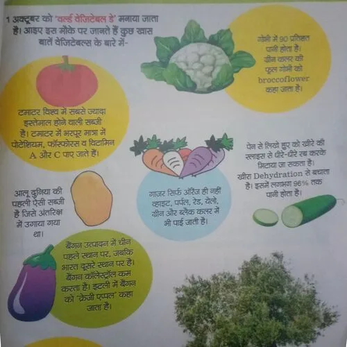 Bal bhaskar ( 22 September 2017)damage