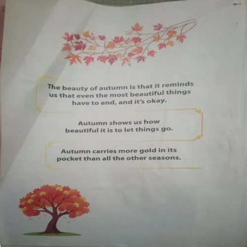 Document 2_130 Young Bhaskar (Friday , November 22,2024) damage