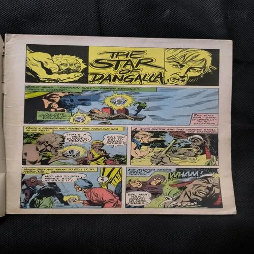 Document 2_34 The Star Of Dangalla