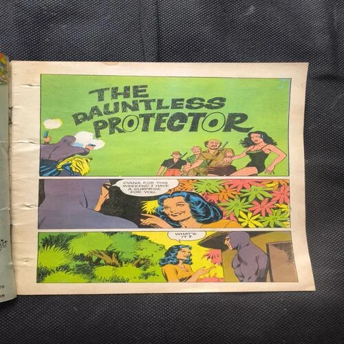 The Dauntless Protector ( No 427 )