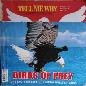 Tell me why ( October 2012 ) ( cut on Front page )